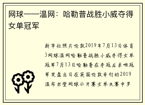 网球——温网：哈勒普战胜小威夺得女单冠军